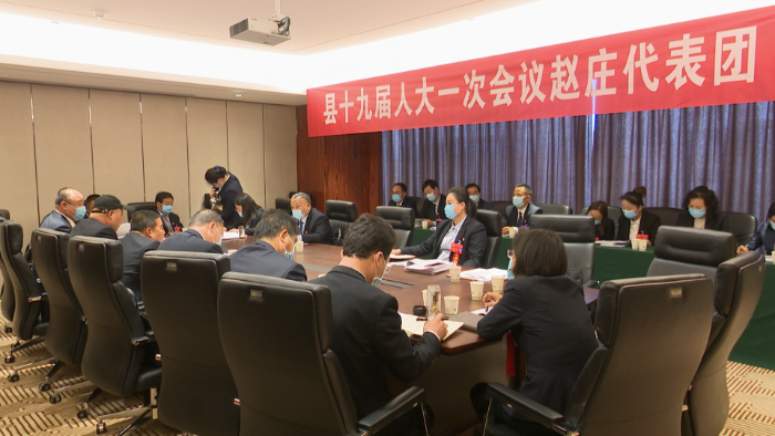 代表团审议3.png
