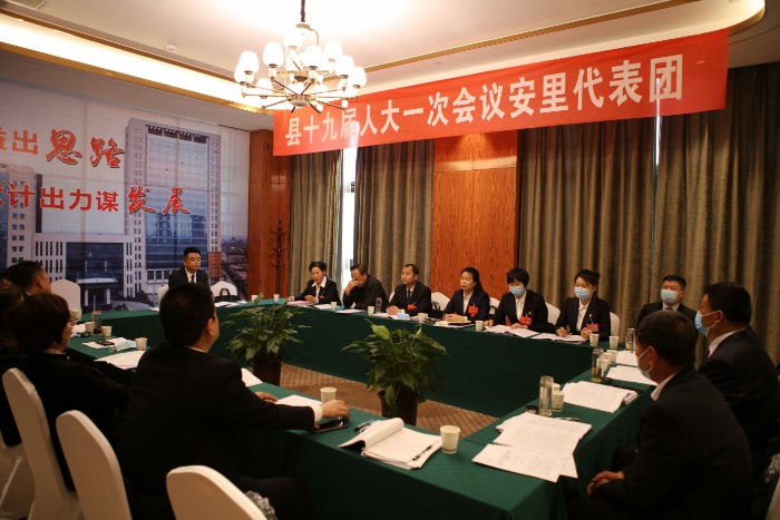 代表团审议2.jpg