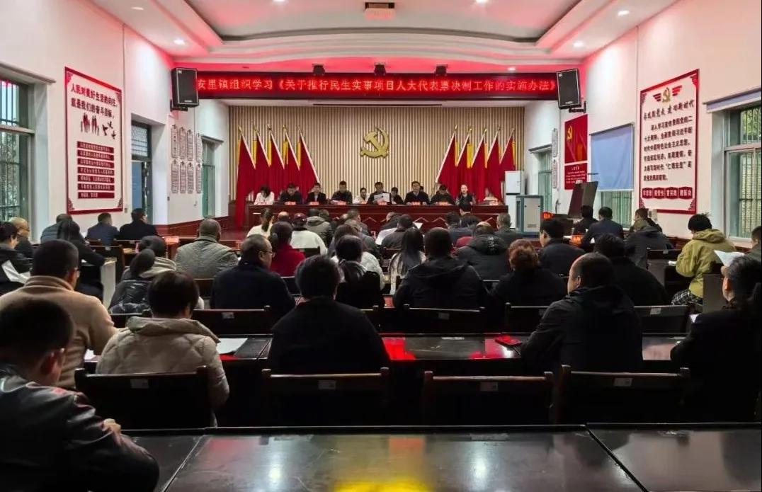 安里镇：组织学习《关于推行民生实事项目人大代表票决制工作的实施办法》